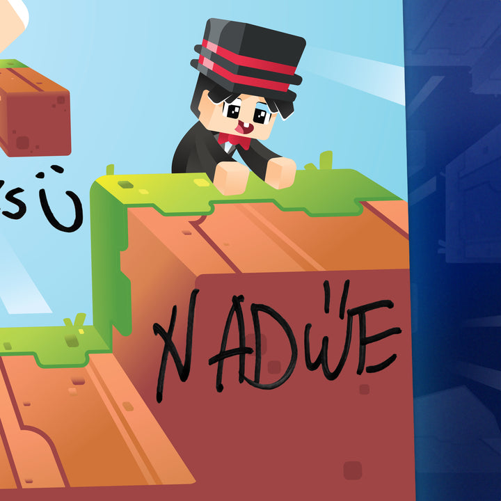 HAND SIGNED Skyblock Poster!