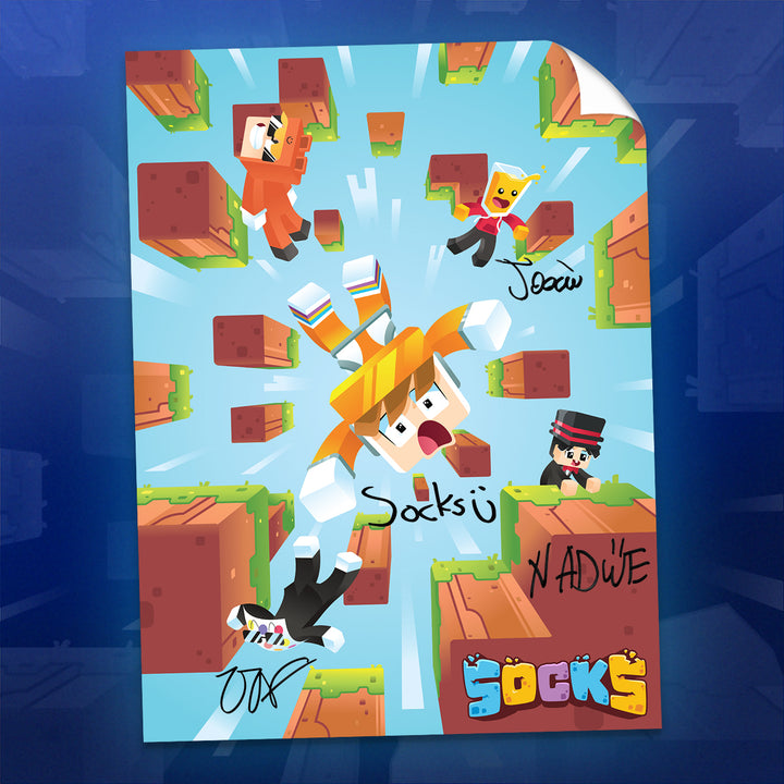 HAND SIGNED Skyblock Poster!